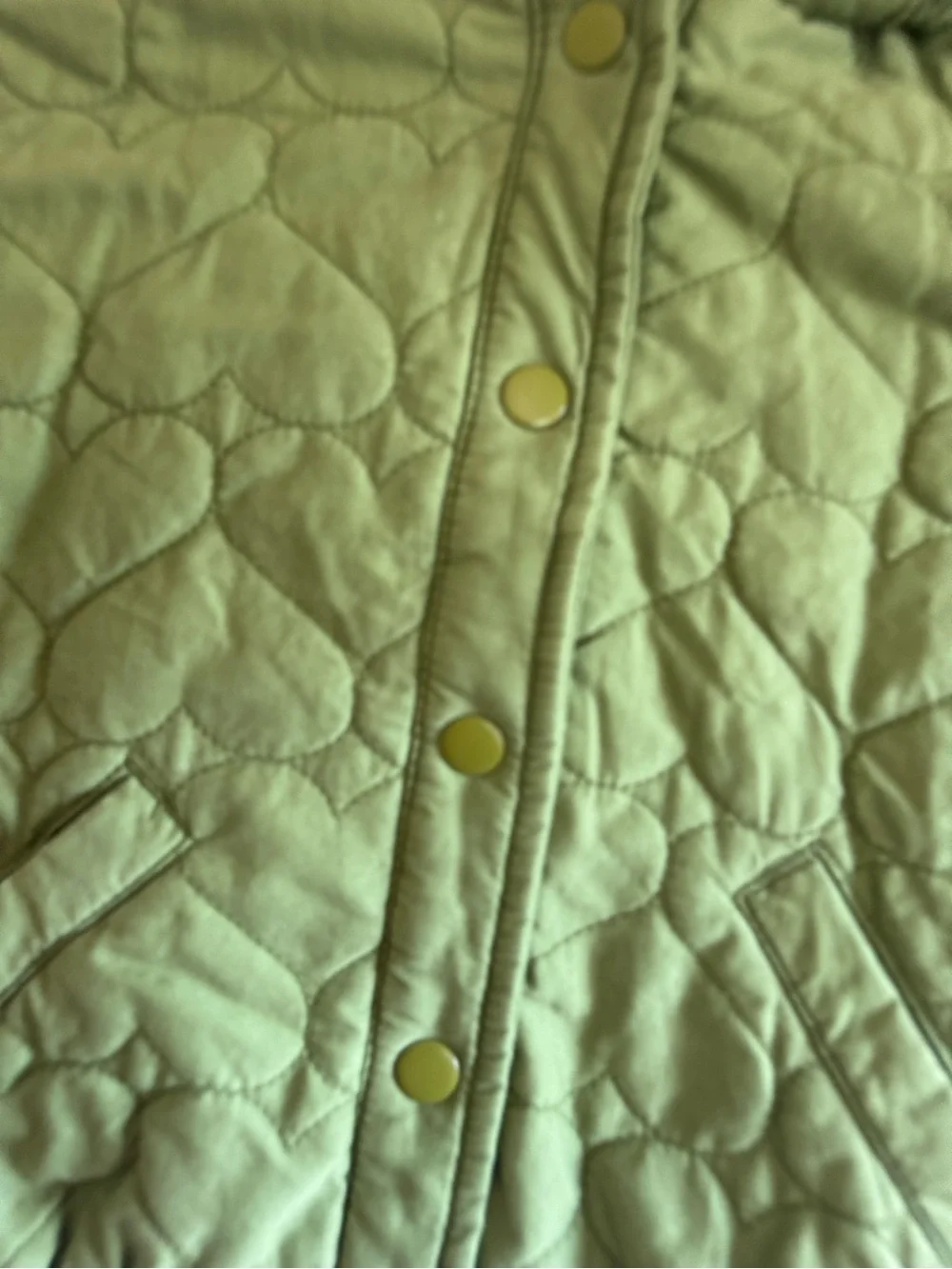 Old Navy Green Quilted Hooded Puffer Jacket for Kids